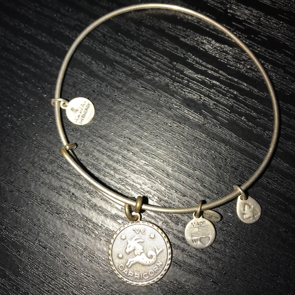 alex and ani silver Capricorn bracelet
